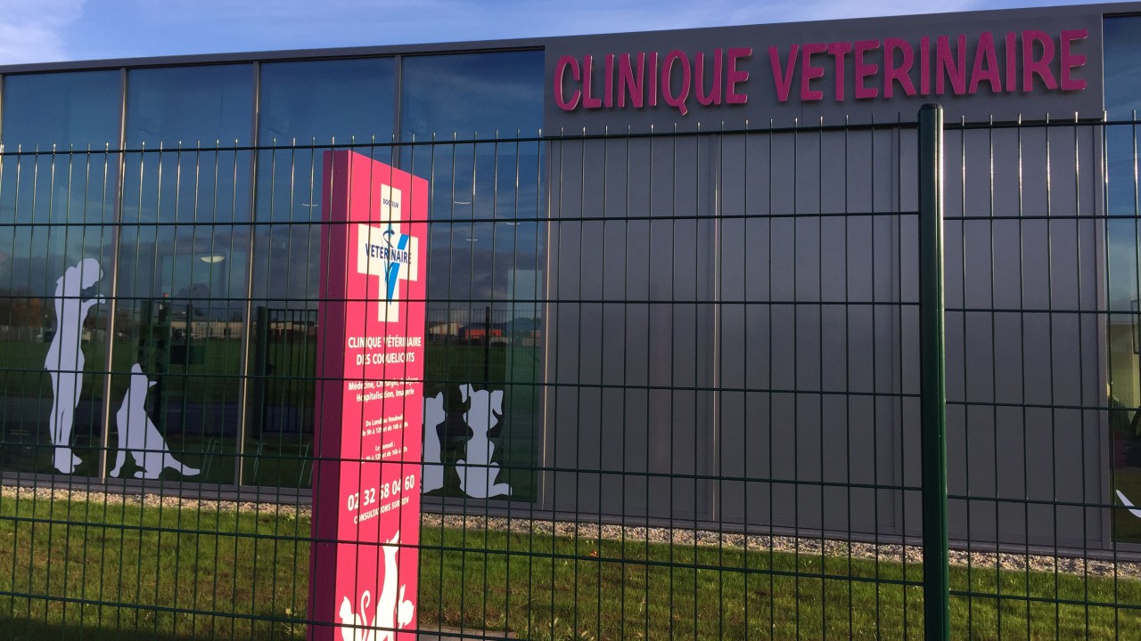 Clinique